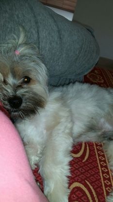 Slider img 20141003 wa0030