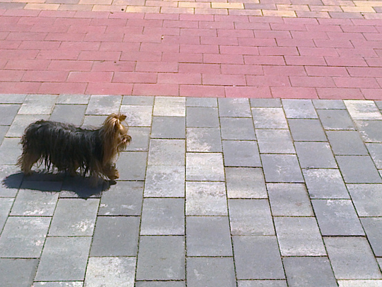 Slider paseo