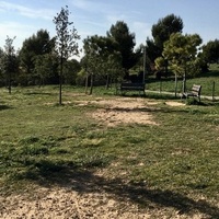 Paseo perros en Sant Cugat del Vallés Ines Gudog
