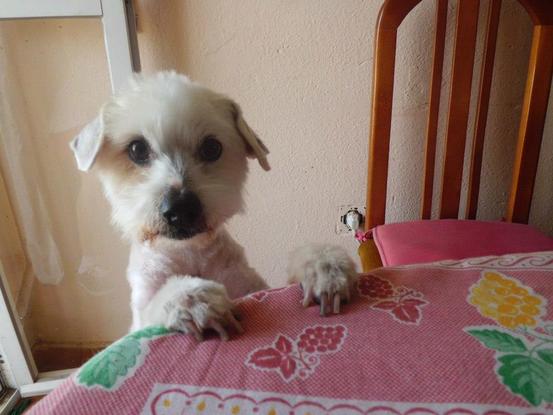 Slider comotu2