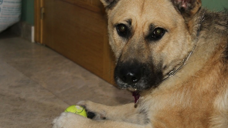 Slider duna