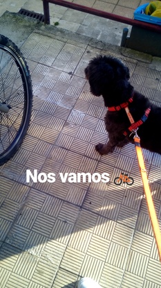 Slider img 20161227 153540 316