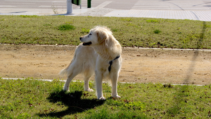 Slider 2009 03 24 17.02.05