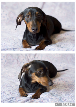 Slider dolce2