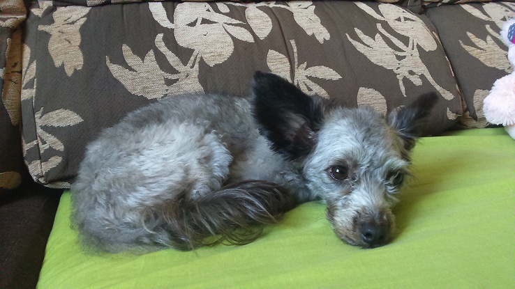 Slider 1408351556026