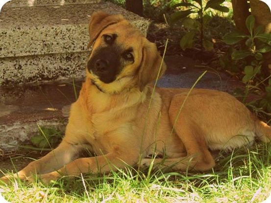 Slider foto 1