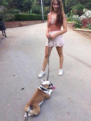 Slider photo chien 3